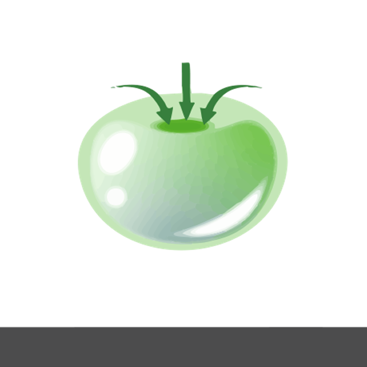 기포 내부 압력 아이콘