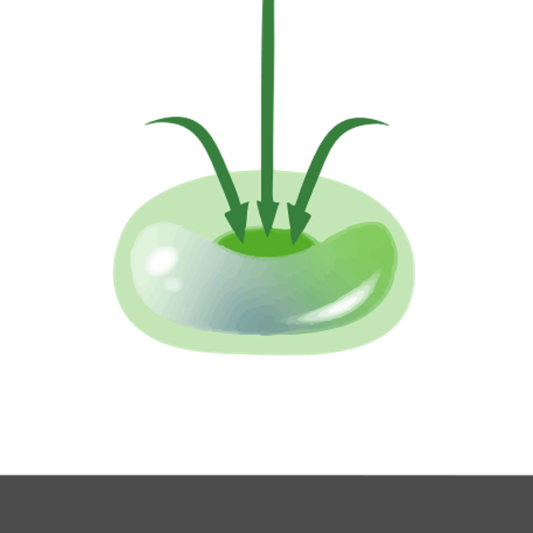 급격한 진공화 아이콘